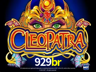 Descubra a Essência do 929br: Nossa História e Compromissos
