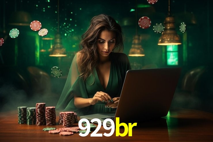 Premium Interface 929br