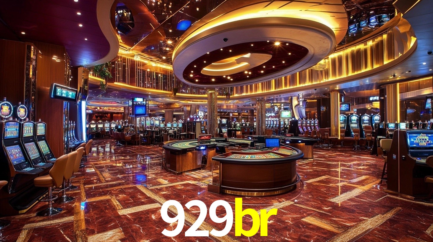 929br App Interface